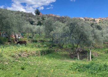 PHOTO-2024-10-07-14-04-49 3.jpg - Rustico Via Civezza, Civezza - foto 15