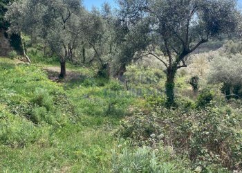 PHOTO-2024-10-07-14-04-50 4.jpg - Rustico Via Civezza, Civezza - foto 16