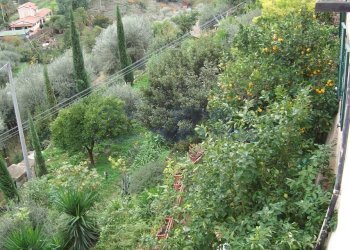 All. 1 p.t. Giardino 1.jpg - Porzione di casa Corso Dante Alighieri, Castellaro - foto 1