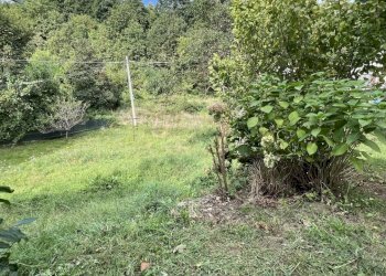 Rif 1645 (16).JPEG - Villa Via Oratorio 6, Urbe - foto 3