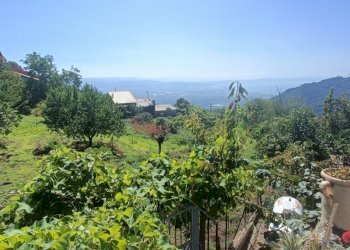 IMG20240928122940.jpg - Villa Contrada Acqua Dauzano, Lamezia Terme - foto 20