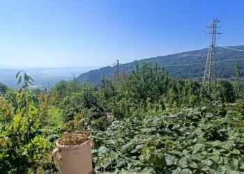 IMG20240928122942.jpg - Villa Contrada Acqua Dauzano, Lamezia Terme - foto 21