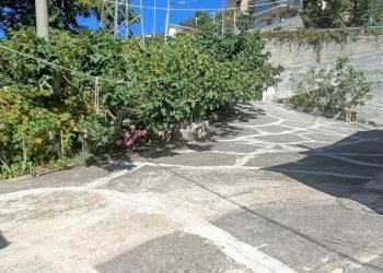 IMG20240928123010.jpg - Villa Contrada Acqua Dauzano, Lamezia Terme - foto 24