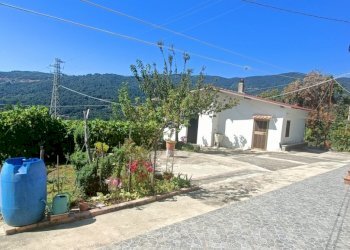 IMG20240928122224.jpg - Villa Contrada Acqua Dauzano, Lamezia Terme - foto 26