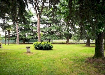 56c23c77-b56e-41ce-8528-0d453537f2b8.JPG - Shed VIA EINAUDI  2, Codogno - photo 9