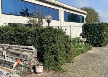 IMG_8491.jpeg - Shed VIA EINAUDI  2, Codogno - photo 19