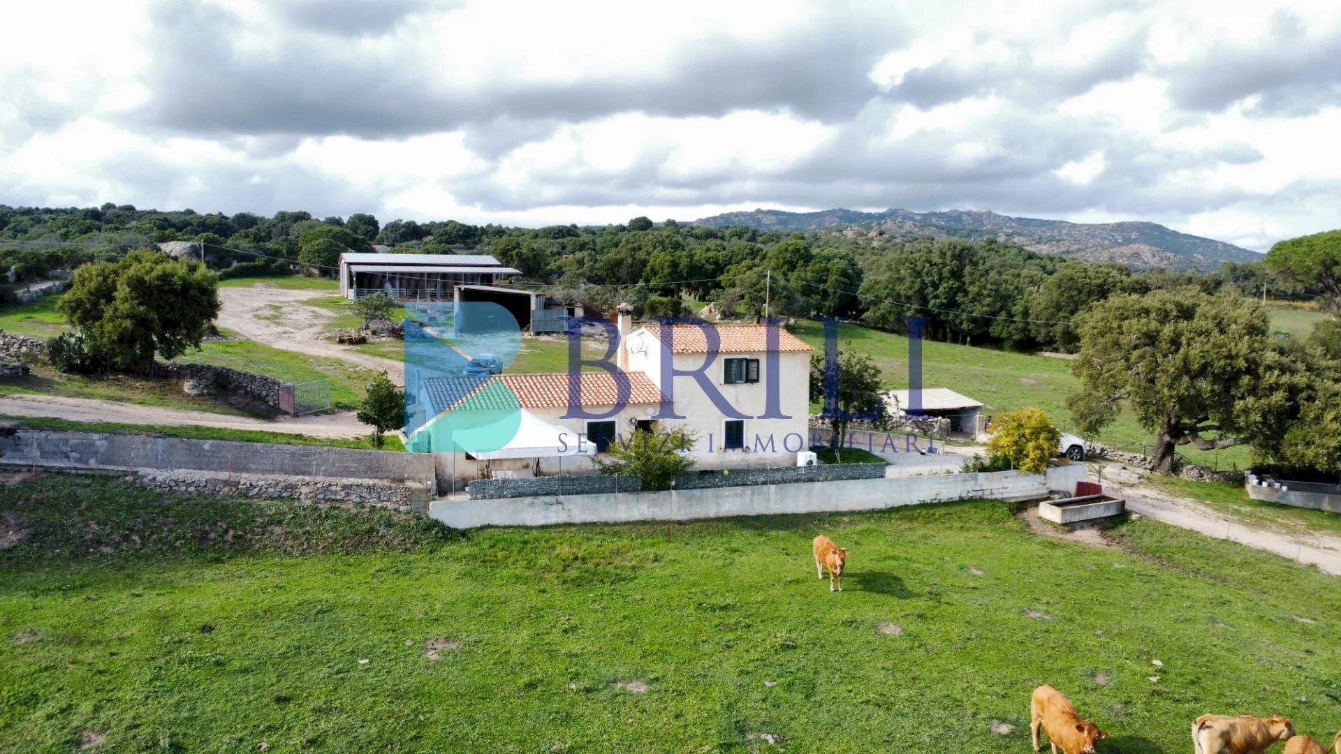 Farm LU CANNISCIONI CALANGIANUS, Calangianus - photo 1