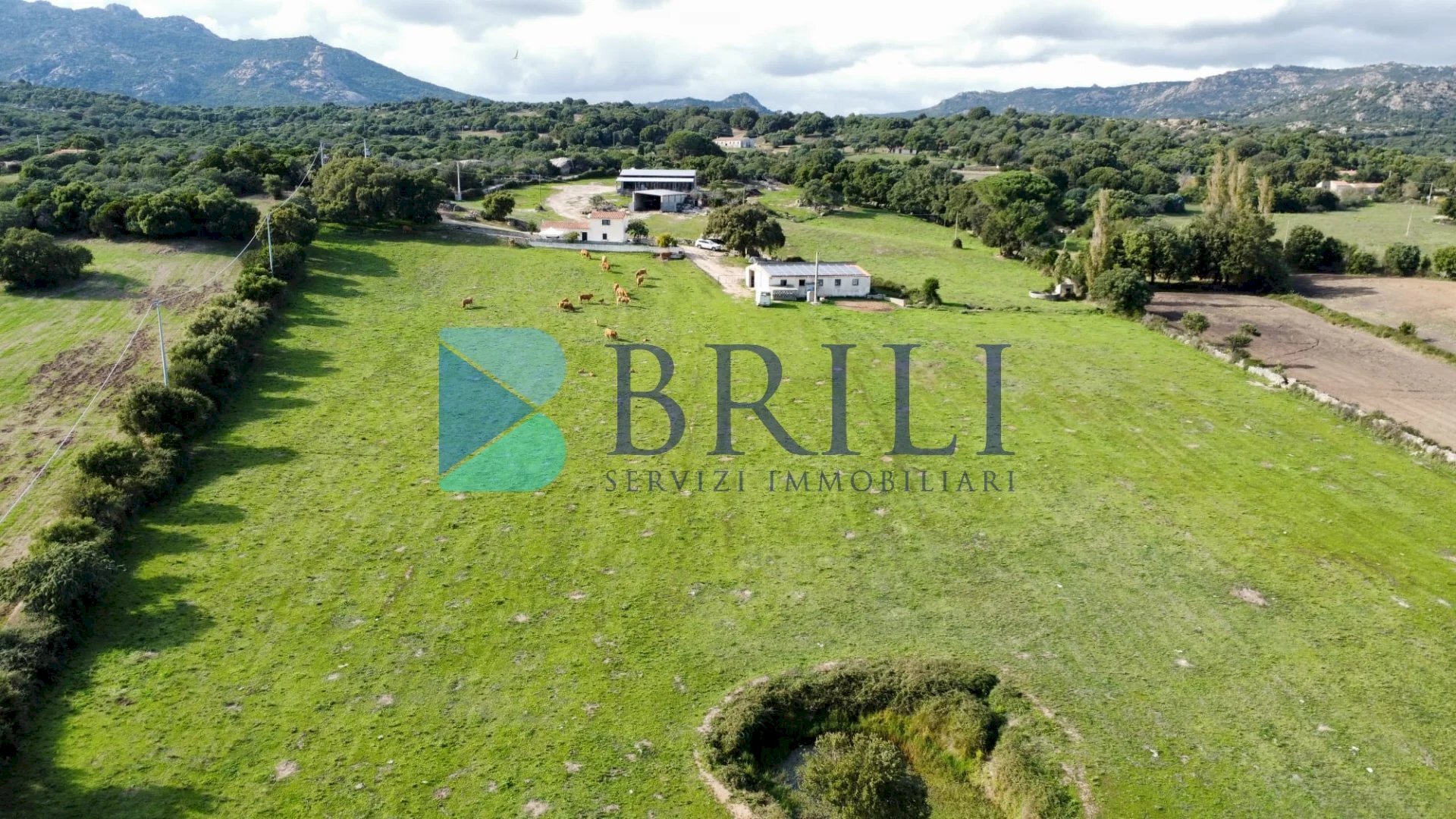 Farm LU CANNISCIONI CALANGIANUS, Calangianus - photo 2