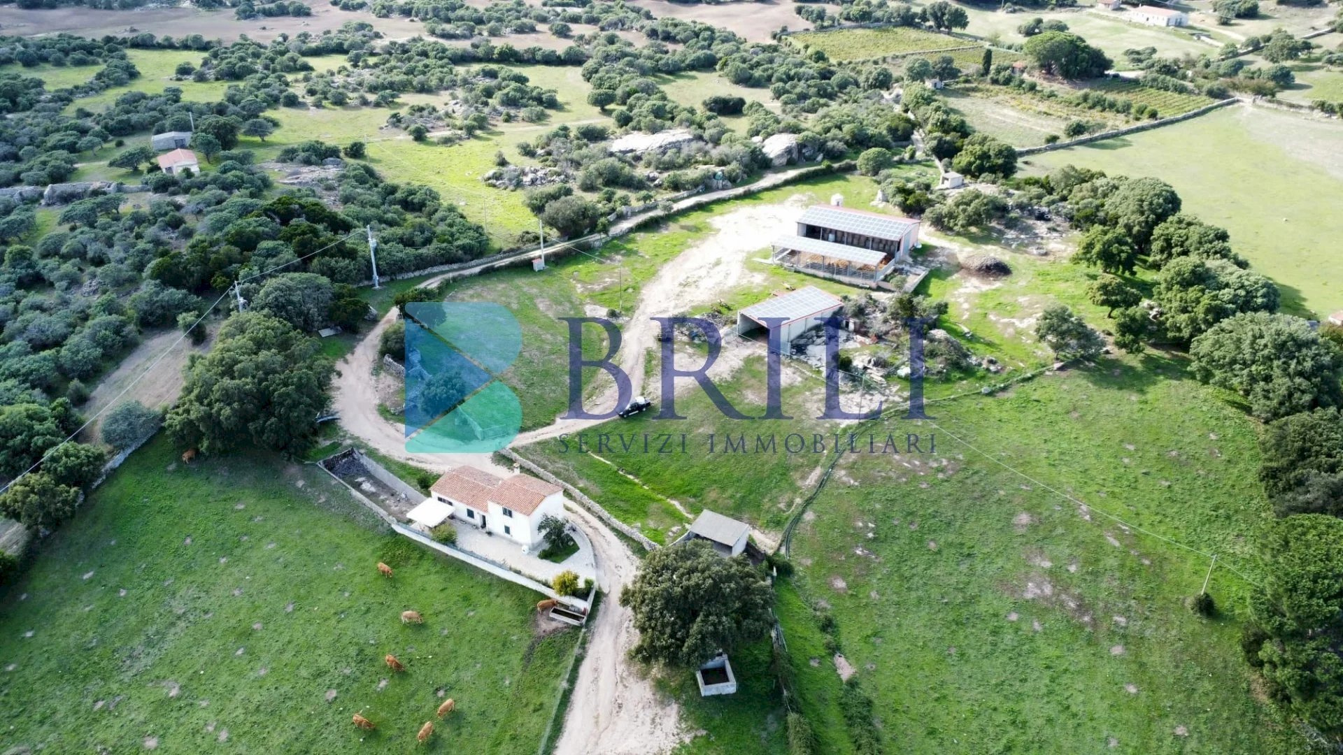 Farm LU CANNISCIONI CALANGIANUS, Calangianus - photo 3