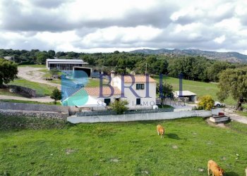 Azienda agricola LU CANNISCIONI CALANGIANUS, Calangianus - foto 1