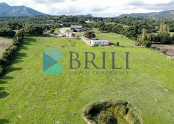 Azienda agricola LU CANNISCIONI CALANGIANUS, Calangianus - foto 2