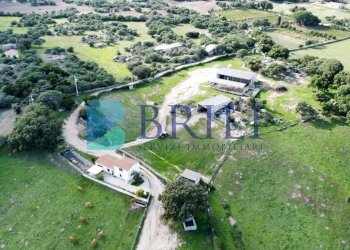 Azienda agricola LU CANNISCIONI CALANGIANUS, Calangianus - foto 3