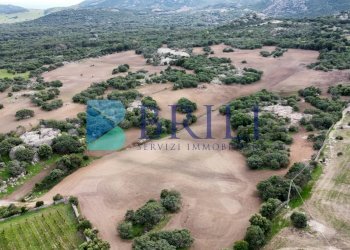 Azienda agricola LU CANNISCIONI CALANGIANUS, Calangianus - foto 4