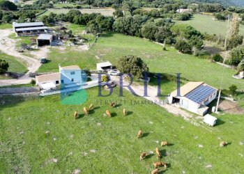 Azienda agricola LU CANNISCIONI CALANGIANUS, Calangianus - foto 5