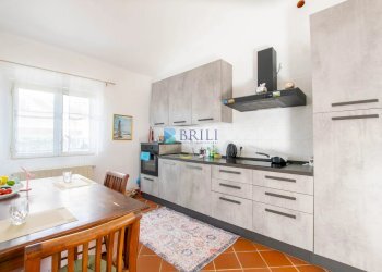 Azienda agricola LU CANNISCIONI CALANGIANUS, Calangianus - foto 6