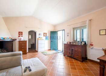 Azienda agricola LU CANNISCIONI CALANGIANUS, Calangianus - foto 8