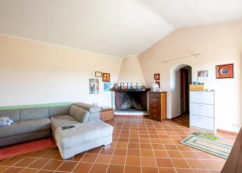 Azienda agricola LU CANNISCIONI CALANGIANUS, Calangianus - foto 9