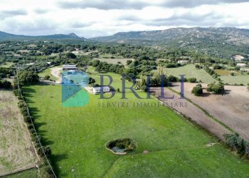 Azienda agricola LU CANNISCIONI CALANGIANUS, Calangianus - foto 18