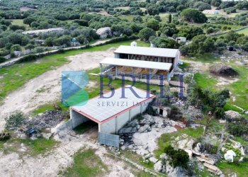 Azienda agricola LU CANNISCIONI CALANGIANUS, Calangianus - foto 20