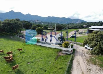 Azienda agricola LU CANNISCIONI CALANGIANUS, Calangianus - foto 22