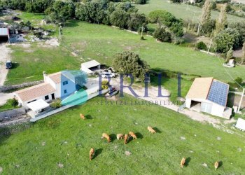 Azienda agricola LU CANNISCIONI CALANGIANUS, Calangianus - foto 25