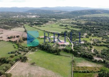 Azienda agricola LU CANNISCIONI CALANGIANUS, Calangianus - foto 28