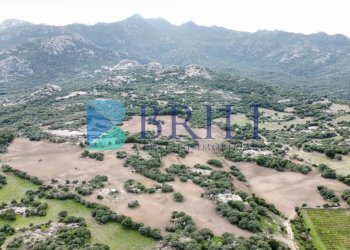 Azienda agricola LU CANNISCIONI CALANGIANUS, Calangianus - foto 31