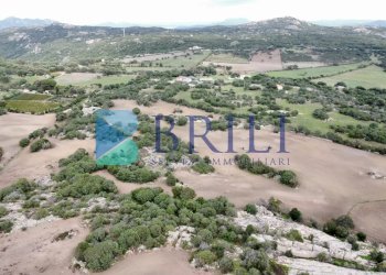 Azienda agricola LU CANNISCIONI CALANGIANUS, Calangianus - foto 32