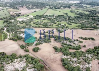 Azienda agricola LU CANNISCIONI CALANGIANUS, Calangianus - foto 35