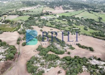 Azienda agricola LU CANNISCIONI CALANGIANUS, Calangianus - foto 36