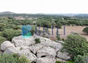 Azienda agricola LU CANNISCIONI CALANGIANUS, Calangianus - foto 37