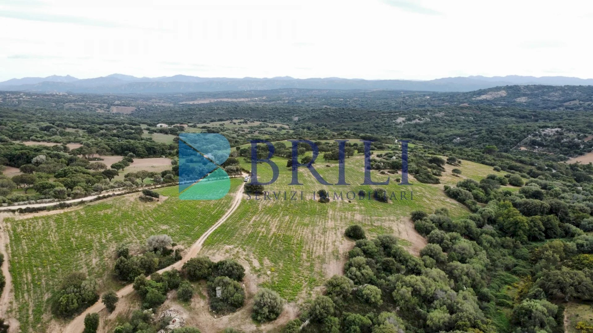 Terreno agricolo SS127, Telti - foto 1