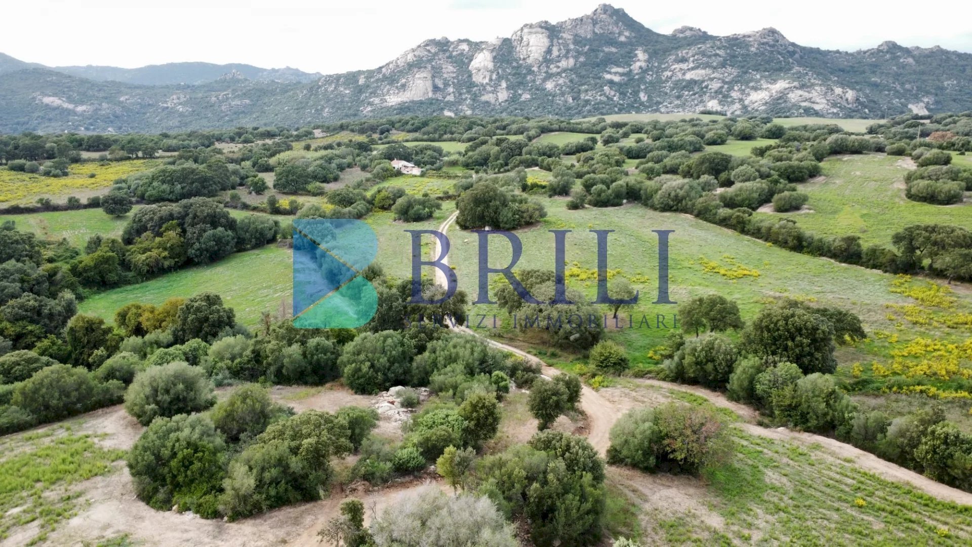 Terreno agricolo SS127, Telti - foto 2