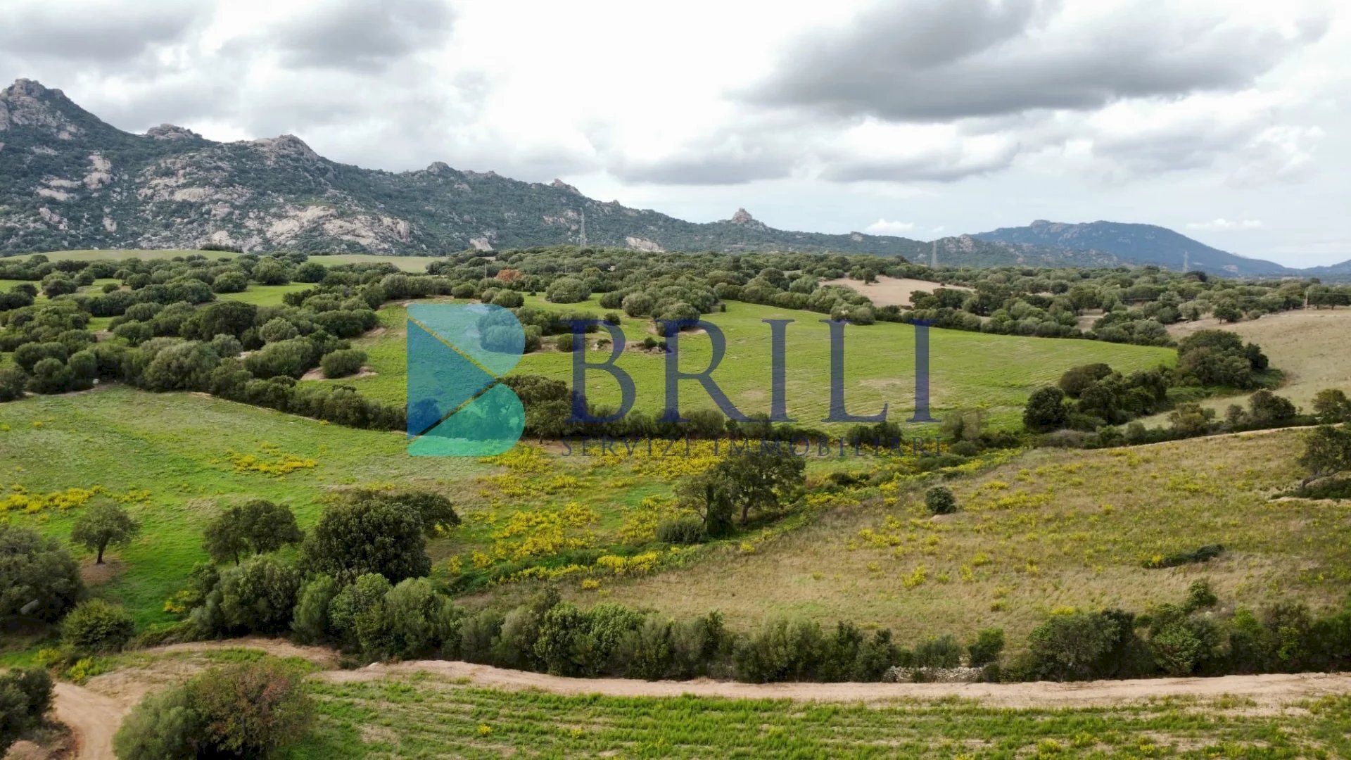 Terreno agricolo SS127, Telti - foto 3