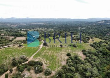 Terreno agricolo SS127, Telti - foto 1