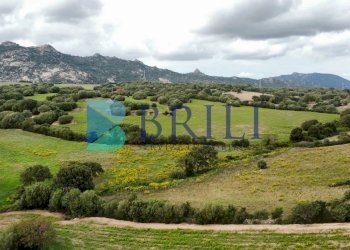 Terreno agricolo SS127, Telti - foto 3