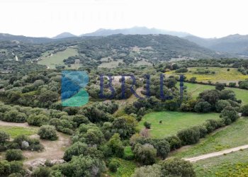 Terreno agricolo SS127, Telti - foto 4