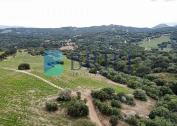 Terreno agricolo SS127, Telti - foto 6