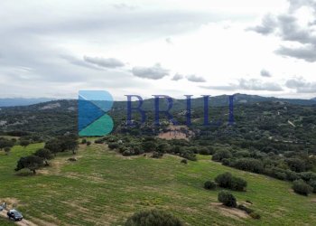 Terreno agricolo SS127, Telti - foto 9