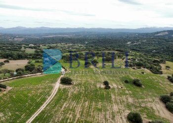 Terreno agricolo SS127, Telti - foto 12