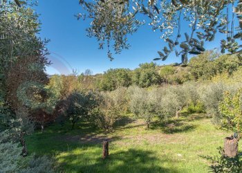 Villa Unifamiliare Via Salita Casette, Alatri - foto 14