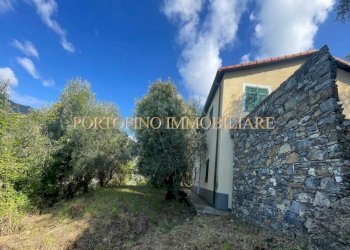 Terreno - Villa piazza 27 Dicembre, Zoagli - foto 46