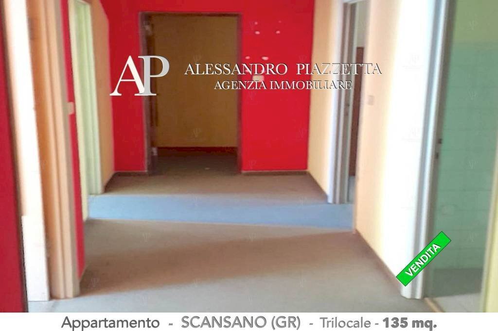 Ingresso ampio e luminoso - Trilocale Scansano - foto 3