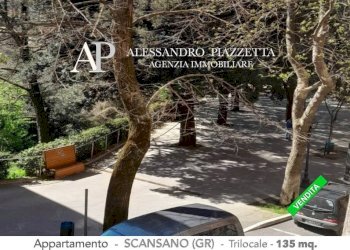 Il contesto nelle colline toscane - Trilocale Scansano - foto 1