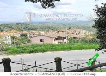 Il contesto nelle colline toscane - Trilocale Scansano - foto 11