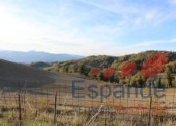 Villa Santa Sofia - foto 9