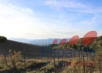 Villa Santa Sofia - foto 15