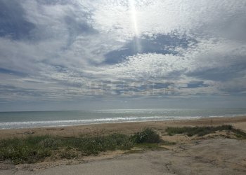 IMG_9608.JPG - Villa a Schiera Campobello di Mazara - foto 29