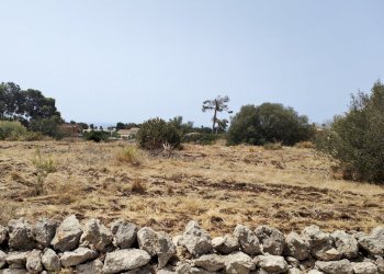 IMG20240621111241.jpg - Rustic Via dell'Opale 14, Siracusa - photo 3