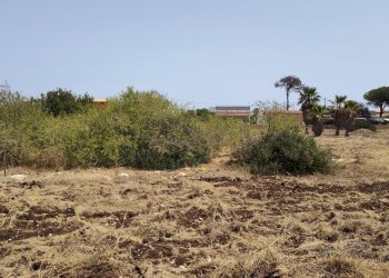 IMG20240621111253.jpg - Rustic Via dell'Opale 14, Siracusa - photo 4